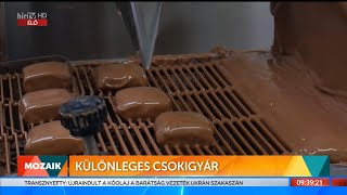 Mozaik - Különleges csokigyár (2022-11-24) - HÍR TV