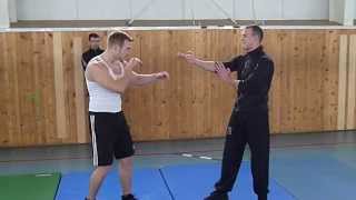 Wing Chun vs MMA