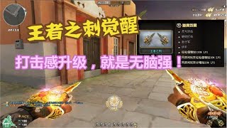 CF：畅快打击！王者之刺觉醒升级版，就是无脑强！【王火超燃刀战系列】