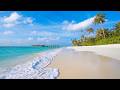Morning to Night in VELAA Private Island. Tropical vibe with Ocean Sounds