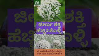 ಜೀರ್ಣ ಶಕ್ತಿ ಹೆಚ್ಚಿಸಿಕೊಳ್ಳಿ || Digestion || Home Remedies || ಮನೆಮದ್ದು #tips