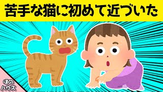 【ほのぼの】苦手な猫に初めて娘が近づいた結果が面白すぎたwww