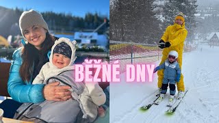 Běžné dny v lednu