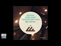 DM-Theory - Insufficient Data | Techno Station