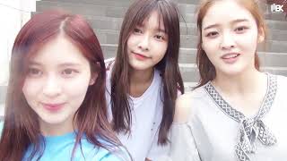 다이아 V앱 [DIA] 다이아가 알려주는 [바비큐파티 다이아X에이드] 장소 찾아오는 방법 / 2016.07.13