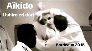 Aikido - Ushiro eri dori by Bruno Gonzalez