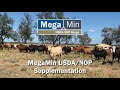 MegaMin USDA/NOP Approved Supplements