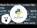 Reading a binary file with python