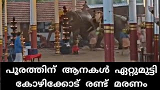 കോഴിക്കോട് ആന ഇടഞ്ഞ് 2 മരണം | elephant attack kerala calicut