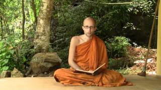 Dhammapada Verses 11 and 12: Essential and Unessential