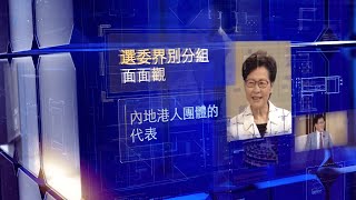 選委界別分組面面觀 - 內地港人團體的代表