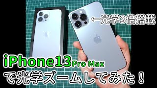 【iPhone13 Pro Max】光学デジタルズームしてみただけの動画 #shorts