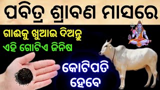 ଜୋଡ଼ା ଶ୍ରାବଣ ମାସରେ ଗାଈକୁ ଖୁଆଇ ଦିଅନ୍ତୁ ଏହି ଜିନିଷ କୋଟିପତି | sawan 2023 | sadhu bani | ajira anuchinta