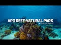 Apo Reef Natural Park Tour