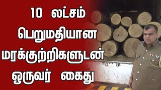 10 லட்சம் பெறுமதியான மரக்குற்றிகளுடன் ஒருவர் கைது