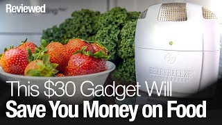 This $30 gadget could save you hundreds on groceries