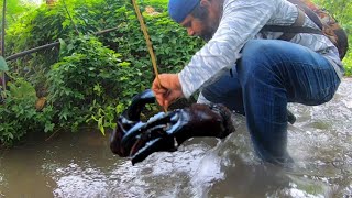 आदिवासी बांधवांची खेकडे पकडण्याची खूपच खतरनाक टेक्निक,incredible tribal technic to catch mud crabs