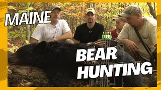 Bear Hunting in Maine - Hound hunts for black bear {From the archives}