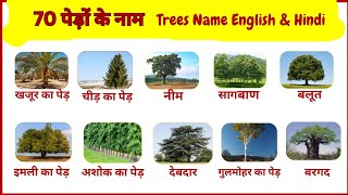 70 पेड़ों के नाम हिंदी में।Trees Name in English \u0026 Hindi with Images।@florykids01