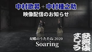 中村歌昇と種之助が「双蝶のうたたね2020 Soaring」をご紹介【歌舞伎ましょう】