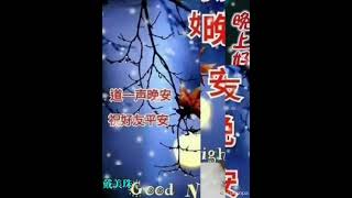 ⚘🎶【望愛卻步】DJ版