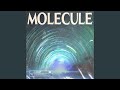 Molecule