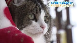 会津鉄道・芦ノ牧温泉駅のネコ駅長らぶ　天国に旅立ち一年　ファンが思いを馳せる【福島発】 (23/10/05 20:10)