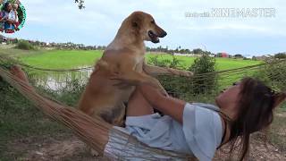Animal _Food_Eating_Hot_Video_A_Beautiful_Girls_Love_Is_dogs