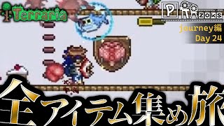 【全アイテム集め旅】金スラゴブゴブ真紅ブレイン作業動画【テラリア】DAY24