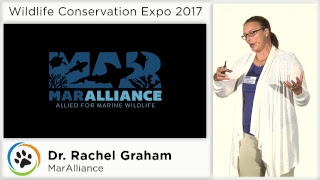 Dr. Rachel Graham