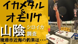 山陰でシロイカ調査！　調子の良かったエギもご紹介！　不調と言われている剣先イカの現状をご覧ください