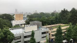 7月15日。雨にけむる東高円寺…