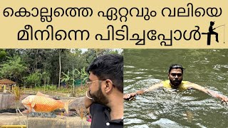 കൊല്ലത്തെ ഏറ്റവും വലിയെ മീനിനെ പിടിച്ചപ്പോൾ 🐋|Travel |Meenpidipara #kollam #travel #travelvlog