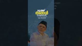 മുത്ത് തങ്ങൾ യാത്രയായ് | പാണക്കാട് സയ്യിദ് ഹൈദരലി ശിഹാബ് തങ്ങൾ