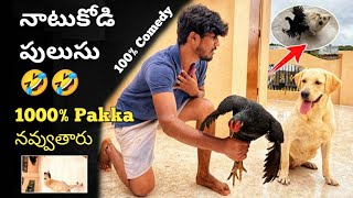 😲 నమ్మకం లేదు | New Guest Rani V/S తిక్క Sandy.🤣 | Pakka Entertainment @upendragani