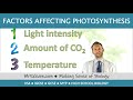 Factors affecting the rate of Photosynthesis - GCSE Biology (9-1)