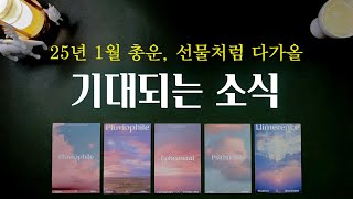 [타로] 25년 1월, 가슴 두근거리는 소식이 기다리고 있습니다.