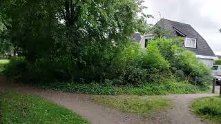 My walk when i was at vacation #netherland#zwaagwesteinde#park#trees#nature#friesland