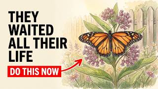 Butterflies In Your Garden Have Been Waiting Their WHOLE LIFE For You to DO THIS! Don't Ignore This