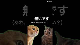 【ゴミ屋敷】荷物パンパンの義母の事故車、ジモティーの結果は！？【事故車】 #ゴミ屋敷 #猫ミーム #shorts