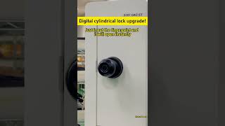 High quality Smart door lock TUYA App Lock Fingerprint lock OEM Door Lock Factory