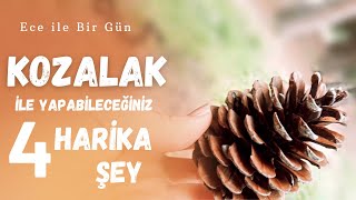 Kozalaklar ile yapabileceğiniz 4 harika şey - DIY