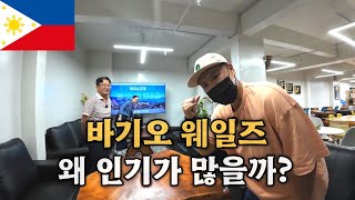 🇵🇭 바기오시니어연수 - 필리핀 웨일즈(Wales) 어학원, 왜 인기가 많을까? #바기오웨일즈어학원