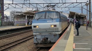 5月8日新座駅 吹田A9運用 4093レ EF66 126