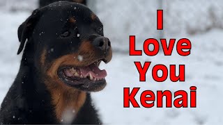 Hardest part of being a pet owner… Rotty Ranch Vlogs #023