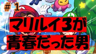 【マリルイ】俺゛の゛青゛春゛だ゛っ゛た゛ん゛だ゛よ゛お゛お゛！【マリオ＆ルイージRPG３実況プレイ】