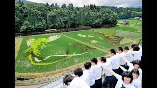 水田に鳳凰と水仙