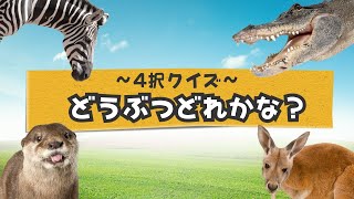 【４択クイズ！☆動物わかるかな？（Part3）☆】○○わかるかなシリーズ！知育