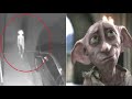 Sinister creature ‘like Harry Potter elf Dobby’ spotted on CCTV walking up woman’s driveway