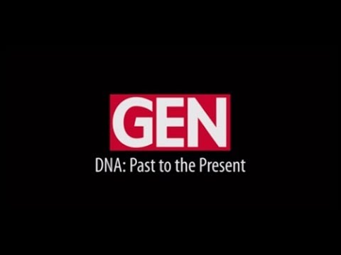 Which best describes the DNA in a transgenic organism?